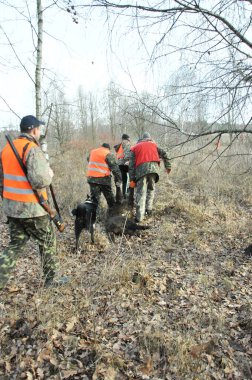 Avcılar yakalanan bir ağaçkakanı çekip çıkarır.