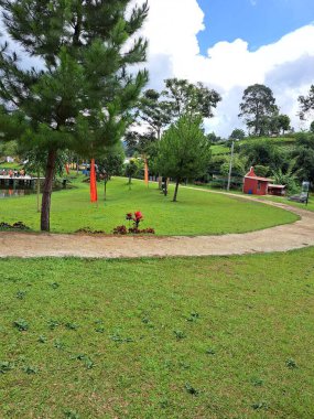 Blue Sky 'ın altındaki Çimen Tarlası' ndan geçen kıvrımlı Yol. Kıvrımlı bir patika, parktaki çimenli bir arazide, kalın beyaz bulutlarla dolu mavi bir gökyüzünün altında esiyor..