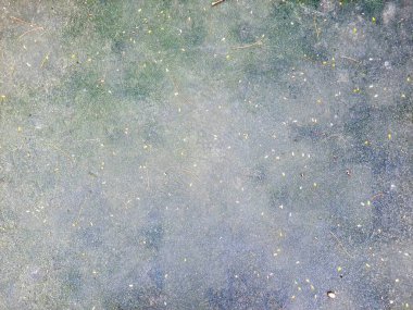 Dağılmış yaprakları ve küçük dalları olan beton zemin arka planda, tasarım katmanlarında veya doğadan esinlenilmiş kompozisyonlarda kullanmak için doğal ve sanatsal bir doku yaratıyor..