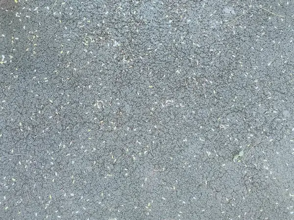 Dağılmış yapraklar ve düşmüş çiçeklerle süslenmiş eşsiz desenli bir zemin değişen mevsimlerin ve kısacık anların sessiz güzelliğini fısıldayan doğal bir mozaik oluşturuyor..