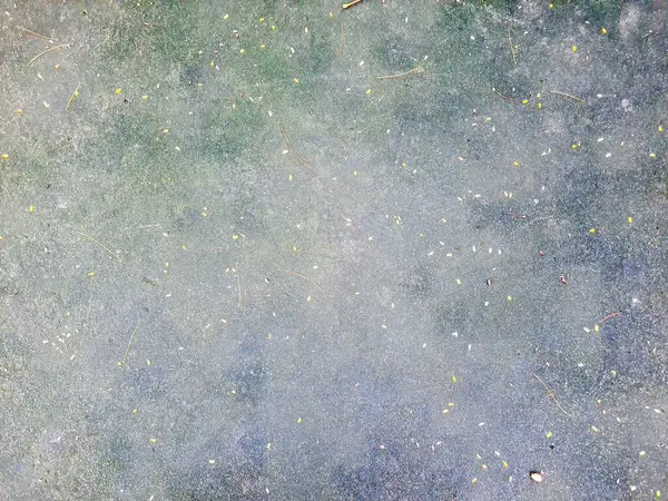 Dağılmış yaprakları ve küçük dalları olan beton zemin arka planda, tasarım katmanlarında veya doğadan esinlenilmiş kompozisyonlarda kullanmak için doğal ve sanatsal bir doku yaratıyor..