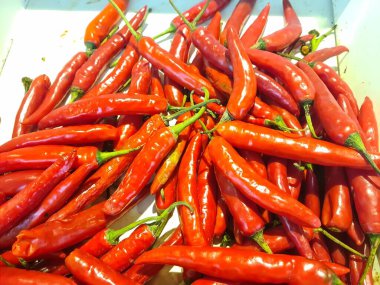 Canlı kırmızı biberler taze hasat edilmiş, parlak derileri ve yoğun renkleri sergileniyor, sıcaklığı, baharatı ve aşçılık cesaretini simgeliyor..