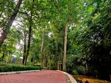 Yeşil bitkiler ve ağaçlarla çevrili beton bloklu (blok) Paved geçidi, temiz ve bereketli bir açık hava ortamı gösteriyor.