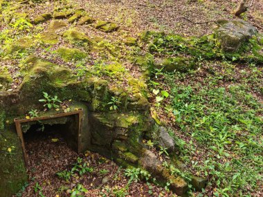 Hayvanat bahçesinde gerçekçi bir ortam sağlayan kayalar, bitkiler ve açık alanla doğal yaşam ortamını taklit etmek için tasarlanmış bir hayvan örtüsü..