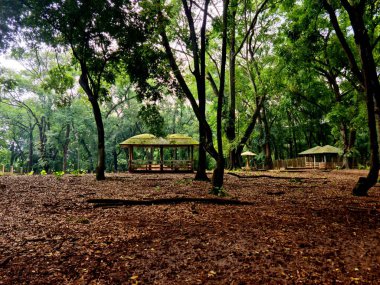 Hayvanat bahçesinde gerçekçi bir ortam sağlayan kayalar, bitkiler ve açık alanla doğal yaşam ortamını taklit etmek için tasarlanmış bir hayvan örtüsü..