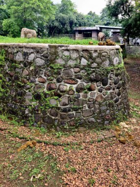 İçerideki duvarda bulunan fil gübresi, hayvanat bahçesindeki doğal hayvan atıklarının kuru zemin ve metal çitlerle çevrili olduğunu gösteriyor..