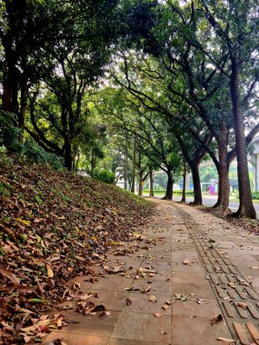 Yaya yolu kurumuş yapraklarla kaplı. Sonbahar yürüyüşü sahnesi doğal zemin dokusunu, mevsimsel değişimi ve açık hava atmosferini gösteriyor..