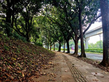 Yaya yolu kurumuş yapraklarla kaplı. Sonbahar yürüyüşü sahnesi doğal zemin dokusunu, mevsimsel değişimi ve açık hava atmosferini gösteriyor..
