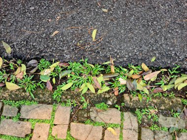 Beton blok ve düşen yapraklarla siyah yol yüzeyi, şehir dışı manzarası.