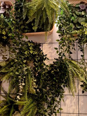 Dekorasyon için duvara yapay bitkiler monte edildi, yeşil yapraklar iç ve ev dekorasyonu için dikey bahçe tasarımı olarak düzenlendi.