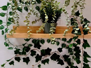 Dekorasyon için duvara yapay bitkiler monte edildi, yeşil yapraklar iç ve ev dekorasyonu için dikey bahçe tasarımı olarak düzenlendi.