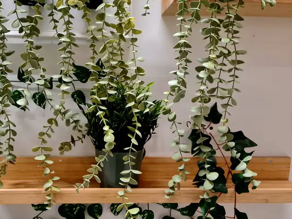 Dekorasyon için duvara yapay bitkiler monte edildi, yeşil yapraklar iç ve ev dekorasyonu için dikey bahçe tasarımı olarak düzenlendi.