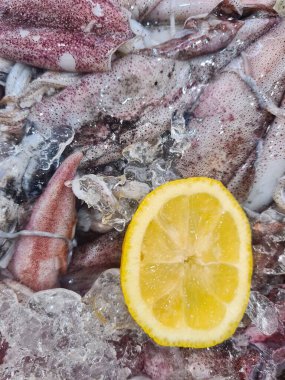 Limon dilimli taze mürekkep balığı satılmaya hazır, pazarlar için mükemmel deniz ürünleri.