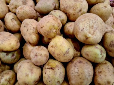 Markette satılık patatesler, yemek pişirmek için mükemmel organik sebzeler, restoran menüsü, sağlıklı beslenme ve market yemekleri fotoğrafçılığı..