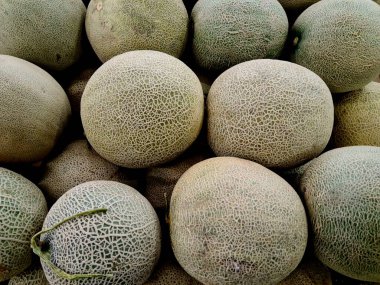 Meyve pazarında satılık karpuzlar, sağlıklı beslenme için mükemmel tropikal meyve, market, organik tarım ve mutfak malzemesi fotoğrafçılığı..