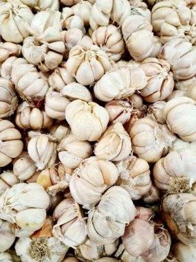 Pazarda satılık sarımsak soğanları, yemek pişirmek için mükemmel organik baharat.