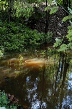 Tenha bir orman havzası, birbirine dolanmış yeşillik katmanlarının altındaki ayna benzeri yüzeyinde kayan yumuşak ışık bantları gibi dikey bir şekilde yakalanır.