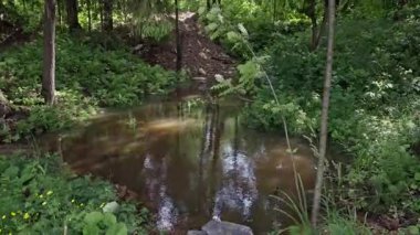 Öğleden sonra ışık demetleri parlayan gölgeliklerin arasından süzülüyor eğrelti otları ve eğreltiotlarının kıyıya dayandığı kehribar suyun üzerinde parlayan çizgiler oluşturuyor.