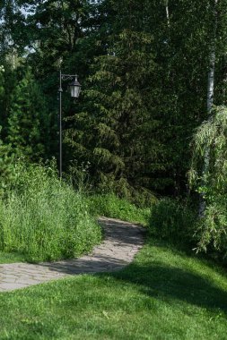 Huzurlu ve huzurlu bir dolambaçlı yol güzel bir şekilde canlı yeşillikler, renkli ağaçlar ve yemyeşil bitkilerle çevrilidir.