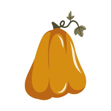 Sonbahar balkabağı çizimi, beyaz arka planda izole edilmiş. Vektör illüstrasyonu