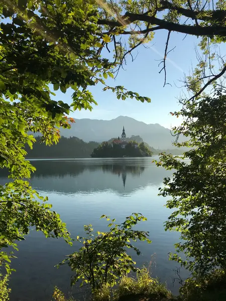 Slovenya 'daki Bled Gölü' nün sakin bir sabah manzarası, yemyeşil ağaçlar ve parlayan güneş ışığıyla çerçevelenmiş ve ikonik ada kilisesi durgun suya yansıyor. Doğal cazibeyle dolu huzurlu ve rüya gibi bir manzara..