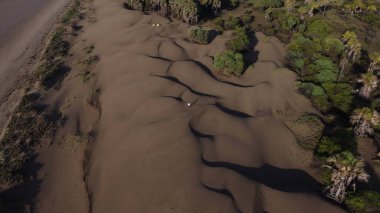 Bu drone fotoğrafı rüzgarın şekillendirdiği düz, altın-kahverengi kumla güzel bir çöl gösteriyor. Yukarıdan, kum dalgalar ya da yumuşak kıvrımlar gibi görünüyor, çarpıcı doğal desenler yaratıyor..