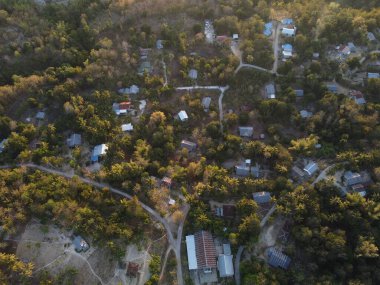 Deep within an untouched expanse of towering trees and winding streams lies Whispering Pines, a secluded village where time moves slowly and nature reigns supreme