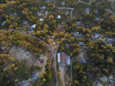 Deep within an untouched expanse of towering trees and winding streams lies Whispering Pines, a secluded village where time moves slowly and nature reigns supreme.