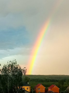 yeşil blok ağaç dalı, elma ağacı, elma ağacı bahçesi, sebze bahçesi