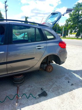 yeşil blok ağaç dalı, elma ağacı, elma ağacı bahçesi, sebze bahçesi