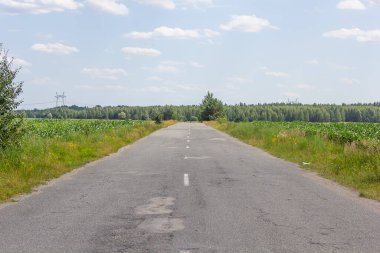 Ormanın ve tarlanın ortasında arabasız asfalt yol