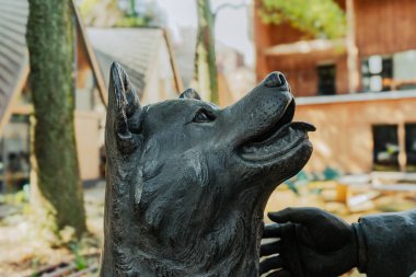 Ueno Park, Tokyo 'daki Dr. Hidesaburo ve Hachiko' nun heykeli.