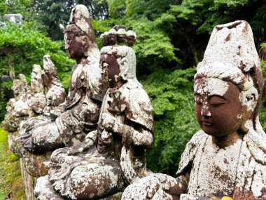 Bir dizi yıpranmış taş Budist tanrıları heykeli, yosunlarla kaplı, yemyeşil bir ormana kurulmuş. Japonya 'da huzurlu ve ruhani bir miras bölgesi..