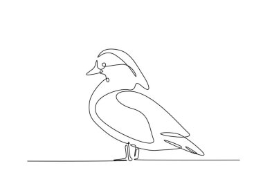 Tek ana hatlı resimde şirin bir mandarin ördeği çizimi. Mandarin ördeğinin aralıksız çizimleri.