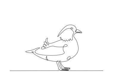 Tek ana hatlı resimde şirin bir mandarin ördeği çizimi. Mandarin ördeğinin aralıksız çizimleri.