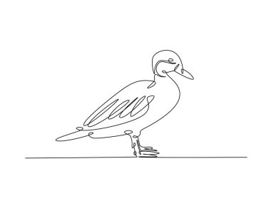 Tek ana hatlı resimde şirin bir mandarin ördeği çizimi. Mandarin ördeğinin aralıksız çizimleri.