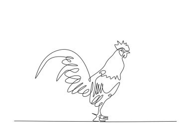 Tek hatlı resimde horoz ya da erkek tavuk. Horozun durmaksızın çizdiği çizgiler.