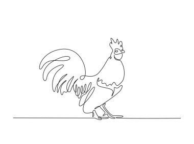 Tek hatlı resimde horoz ya da erkek tavuk. Horozun durmaksızın çizdiği çizgiler.