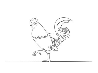  Tek hatlı resimde horoz ya da erkek tavuk. Horozun durmaksızın çizdiği çizgiler.