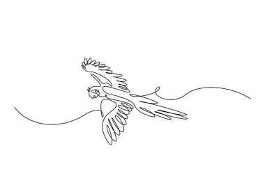 Tek çizgili resimde uçan papağan kuşu. Papağan kuşunun aralıksız çizimleri.