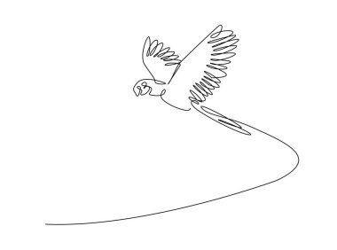 Tek çizgili resimde uçan papağan kuşu. Papağan kuşunun aralıksız çizimleri.