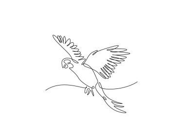 Tek çizgili resimde uçan papağan kuşu. Papağan kuşunun aralıksız çizimleri.