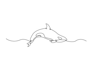 Okyanustaki katil balina tasviri. Katil balina balinasının aralıksız çizimleri.