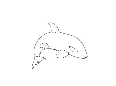 Okyanustaki katil balina tasviri. Katil balina balinasının aralıksız çizimleri.