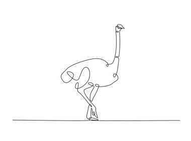 Devekuşu kuşu tasviri. Devamlı Afrika devekuşu çizimi çizimi. Düzenlenebilir vuruş.