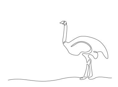 Devekuşu kuşu tasviri. Devamlı Afrika devekuşu çizimi çizimi. Düzenlenebilir vuruş.