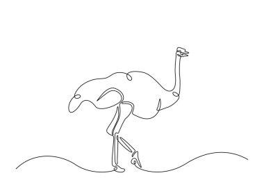 Devekuşu kuşu tasviri. Devamlı Afrika devekuşu çizimi çizimi. Düzenlenebilir vuruş.