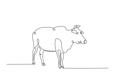 İnek ya da bufalo tek bir tasvir. Çiftçilik konsepti için sürekli inek çizimi. Düzenlenebilir vuruş.