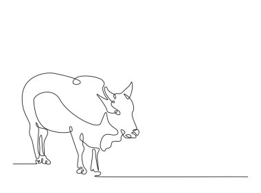 İnek ya da bufalo tek bir tasvir. Çiftçilik konsepti için sürekli inek çizimi. Düzenlenebilir vuruş.