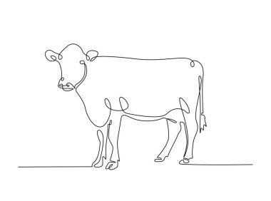 İnek ya da bufalo tek bir tasvir. Çiftçilik konsepti için sürekli inek çizimi. Düzenlenebilir vuruş.